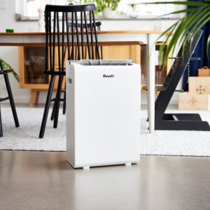 Máy hút ẩm kèm lọc không khí Wood’s WDD90