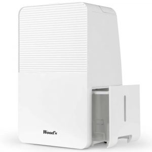 Máy hút ẩm Wood’s MDK13