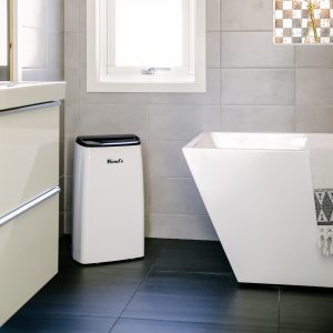 Máy hút ẩm Wood’s MDK21