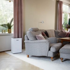 Máy hút ẩm Wood’s MRD20