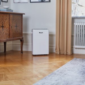 Máy hút ẩm Wood’s MRD25GW Wifi